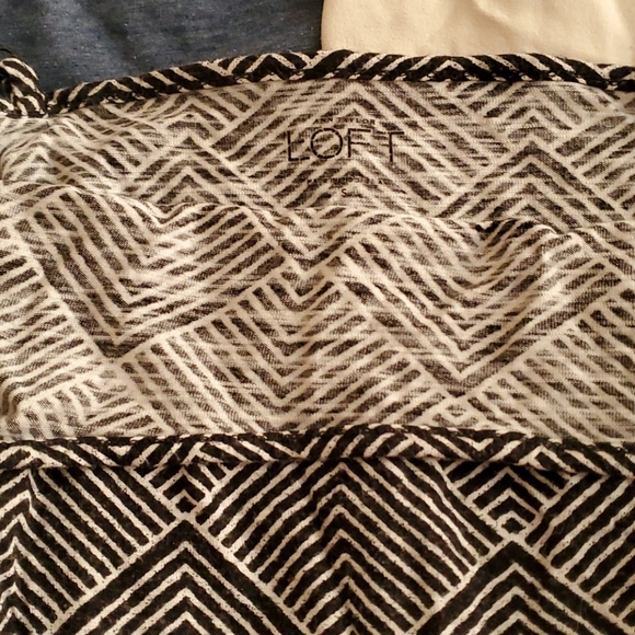 Shells - Picture 2 of 4